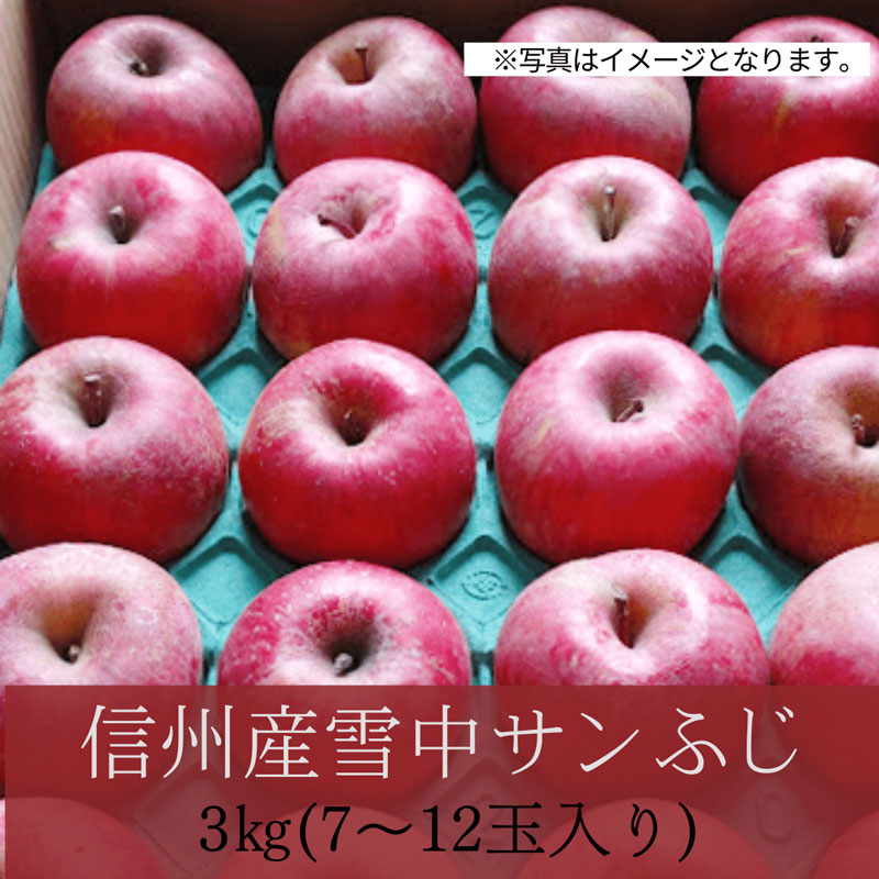 【送料込】信州産雪中サンふじ(3㎏・7～12玉入り)※4月中旬頃より順次発送の通販情報